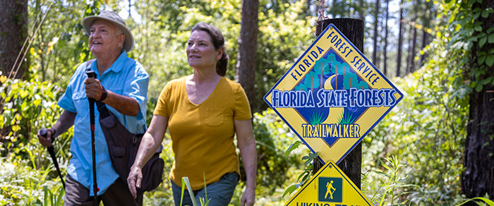 Florida Forests