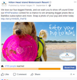 Hilton Head Pet's Paradise Social Post